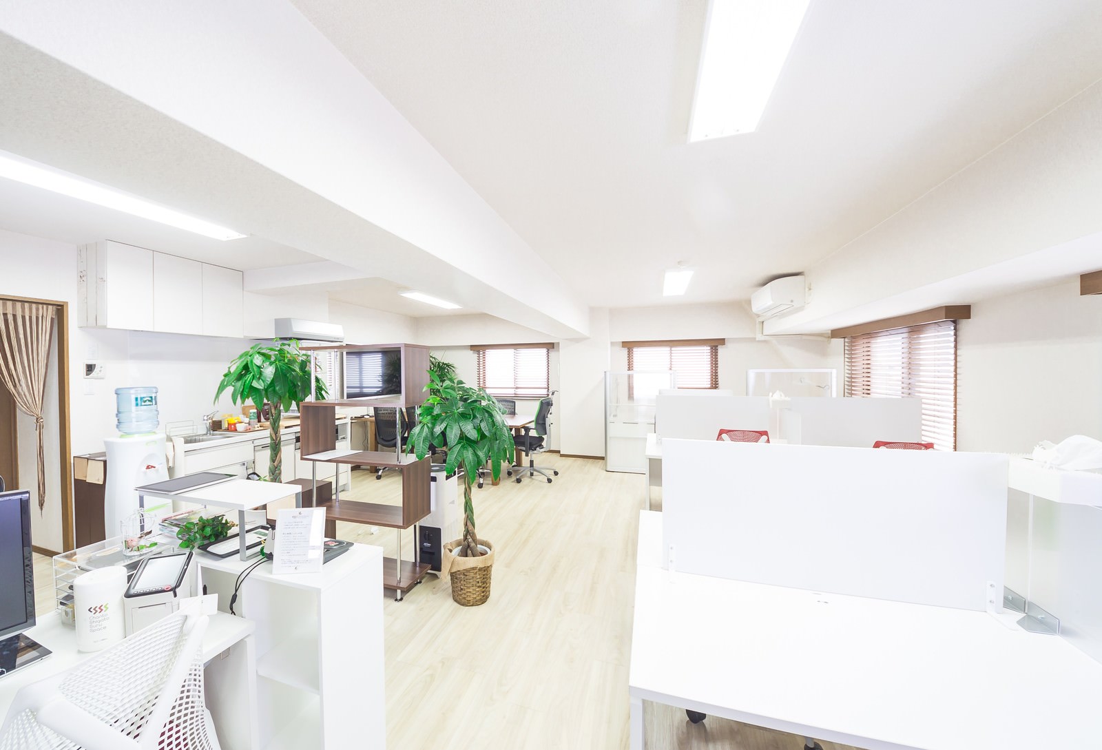 白を基調とした広々としたオフィス。観葉植物やキッチンもある